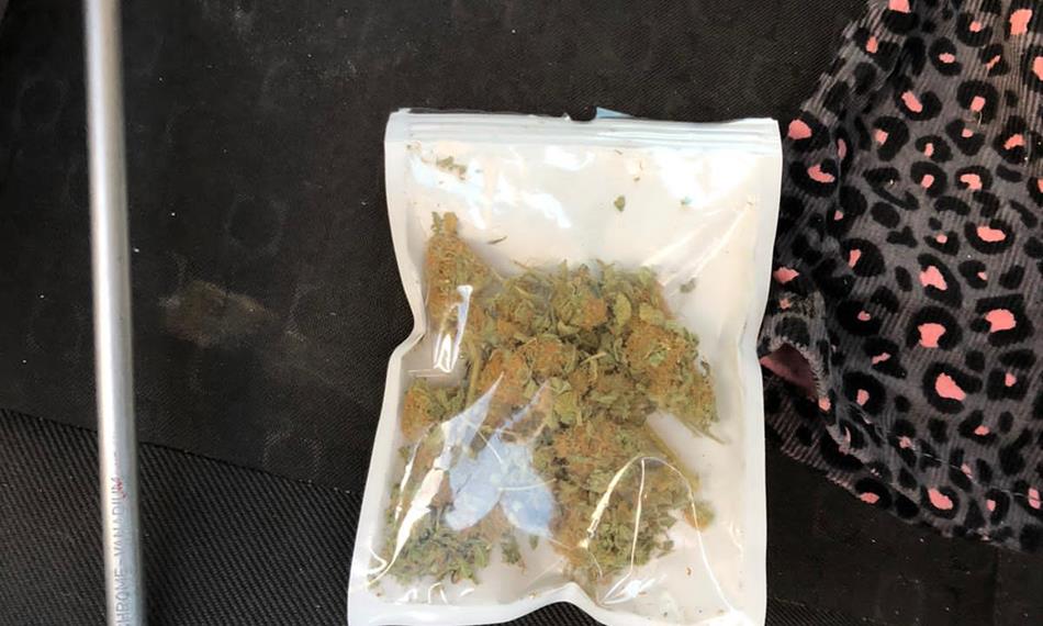 2020-12-4-1357sušené konopí 2.JPG